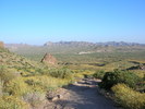 photo thumbnail #5