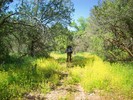 photo thumbnail #4