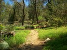 photo thumbnail #9