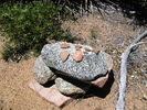 photo thumbnail #12