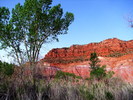 photo thumbnail #2