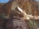 photo thumbnail #10