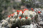 photo thumbnail #3