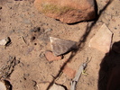 photo thumbnail #11