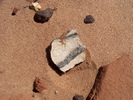 photo thumbnail #14