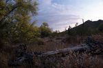 photo thumbnail #5