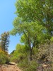 photo thumbnail #13