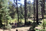 photo thumbnail #2