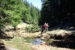 photo thumbnail #3