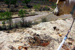 photo thumbnail #13