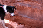 photo thumbnail #15