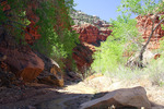 photo thumbnail #5