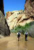 photo thumbnail #12