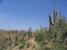 photo thumbnail #15