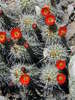 photo thumbnail #3