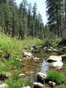 photo thumbnail #11