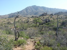 photo thumbnail #2