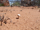 photo thumbnail #12