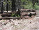 photo thumbnail #3
