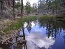photo thumbnail #12