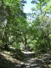 photo thumbnail #10