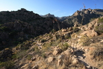 photo thumbnail #3