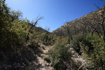 photo thumbnail #8