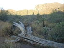 photo thumbnail #8