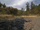 photo thumbnail #5