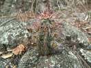 photo thumbnail #10
