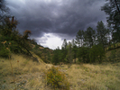 photo thumbnail #12