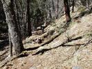 photo thumbnail #3