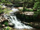 photo thumbnail #11