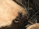 photo thumbnail #15
