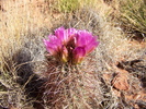 photo thumbnail #4
