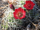photo thumbnail #7