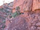 photo thumbnail #10