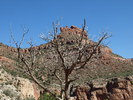 photo thumbnail #12