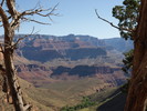 photo thumbnail #13