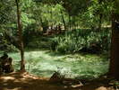 photo thumbnail #6
