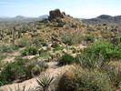 photo thumbnail #6