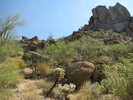 photo thumbnail #7