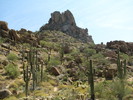 photo thumbnail #10