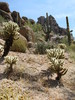 photo thumbnail #13