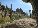photo thumbnail #14