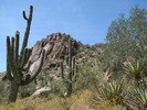 photo thumbnail #15
