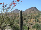 photo thumbnail #4