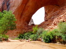 photo thumbnail #10