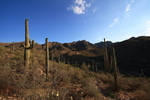 photo thumbnail #1