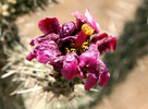 photo thumbnail #6